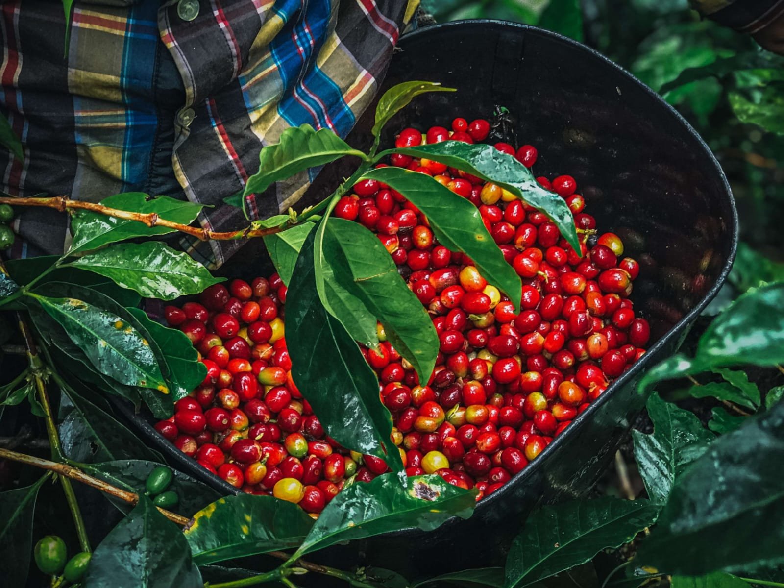 Imagen de WhatsApp 2025-07-15 a las 20.00.03_392ecac5