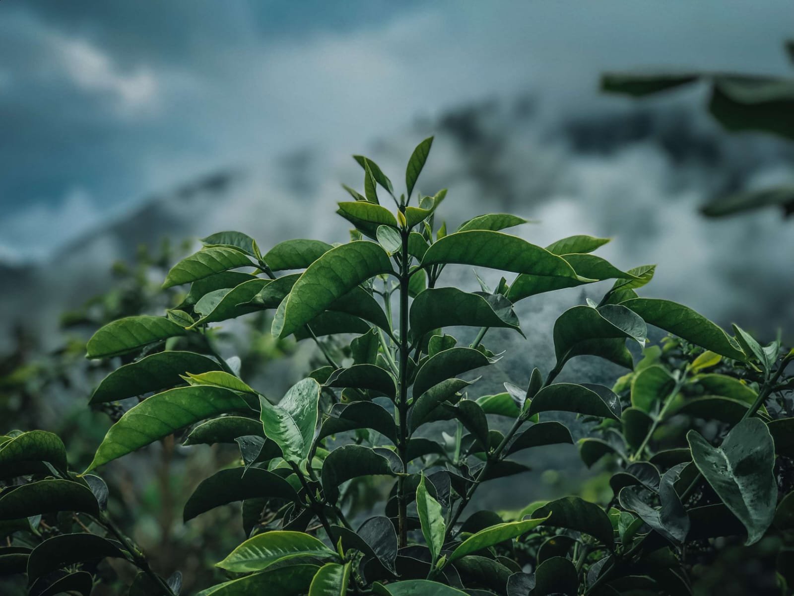 Imagen de WhatsApp 2025-07-15 a las 20.00.04_5552f0a4